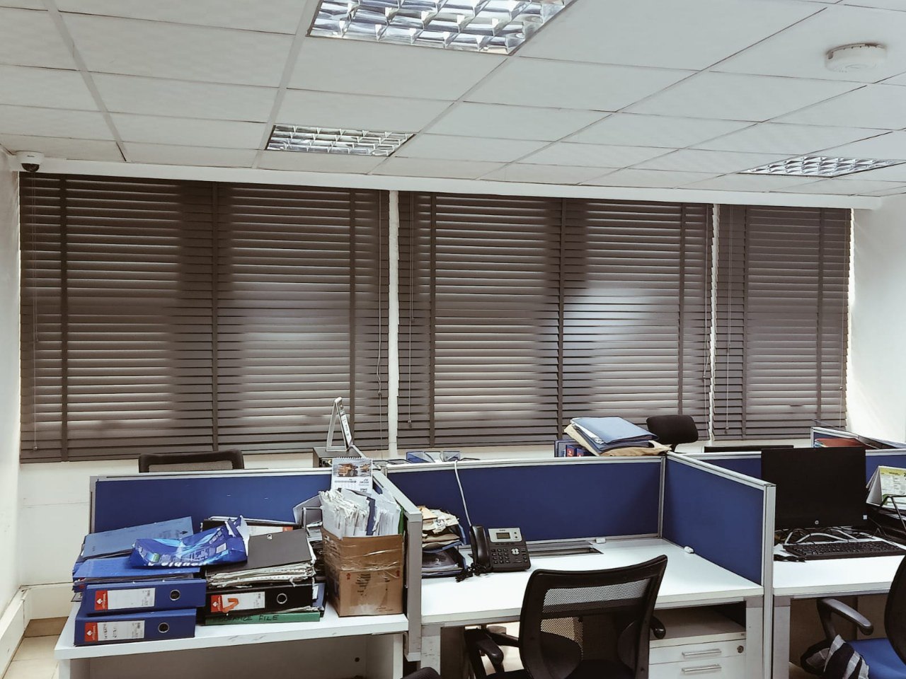 Venetian Window Blinds